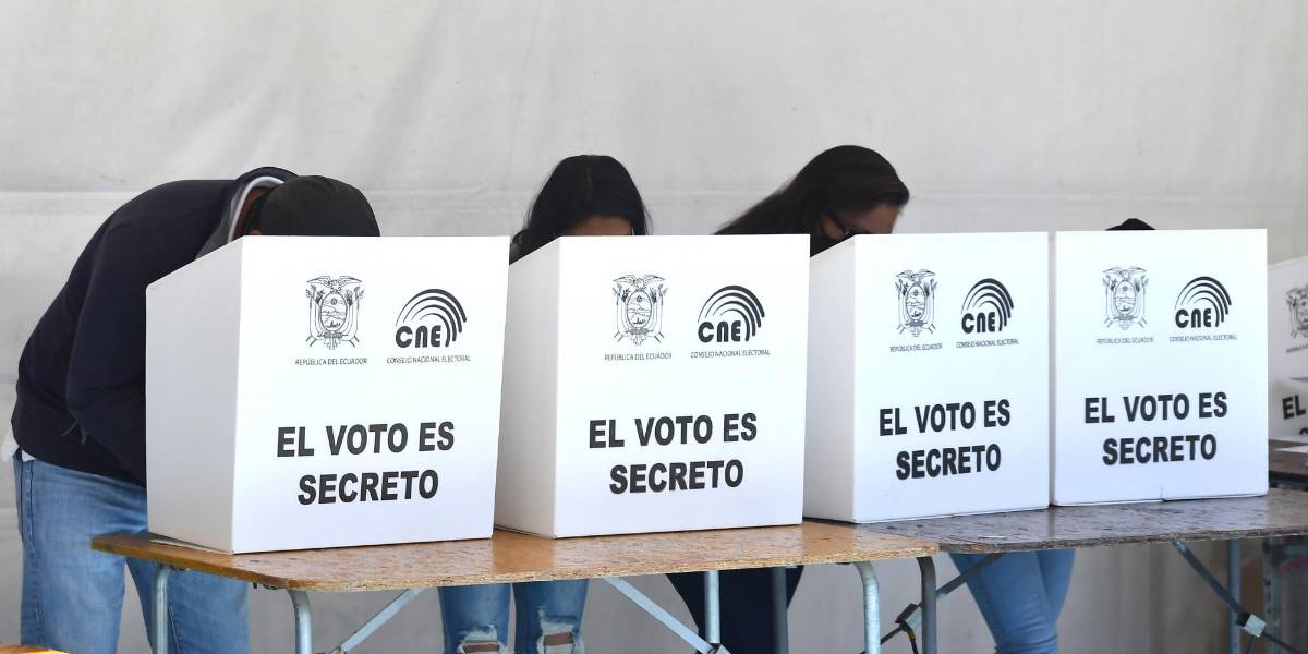 Consulta popular 2024: así puede revisar si está habilitado para votar