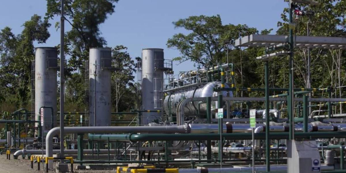 Petroecuador busca socios estratégicos para explotar Sacha y 22 campos petroleros