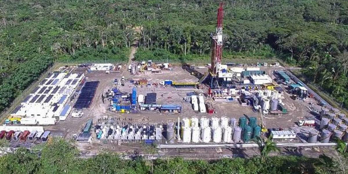 Consulta Popular Yasuní: ¿Cómo se aplicará el plan para detener la actividad petrolera?