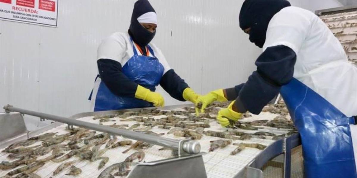 China deja de hacer controles epidémicos a productos importados