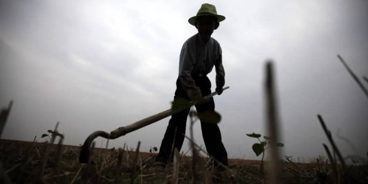 Quito duplica los centros de erradicación de trabajo infantil en la pandemia
