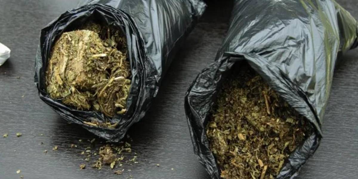 Un adulto mayor es procesado por tráfico de droga a gran escala en Carchi