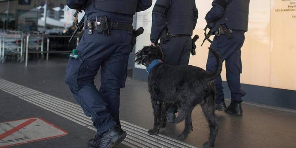 Croacia: Un hombre es detenido por llevar a un cádaver como pasajero