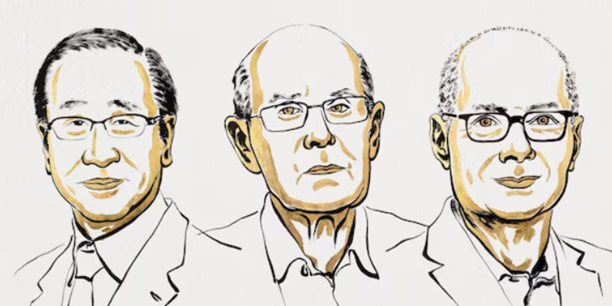 Qué son las revolucionarias estructuras metalorgánicas por las que 3 científicos ganaron el Nobel de Química y cómo pueden ayudar a combatir el cambio climático