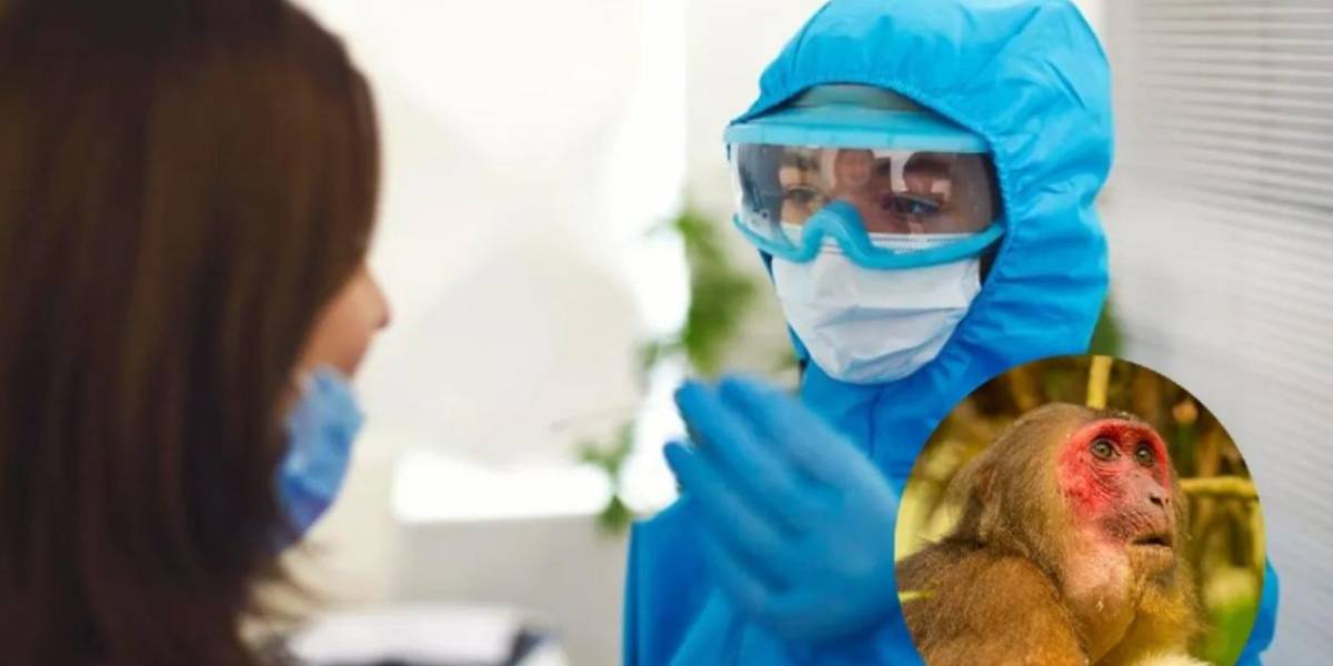 El primer caso del virus B en humanos por el ataque de un mono a un hombre: está en estado crítico