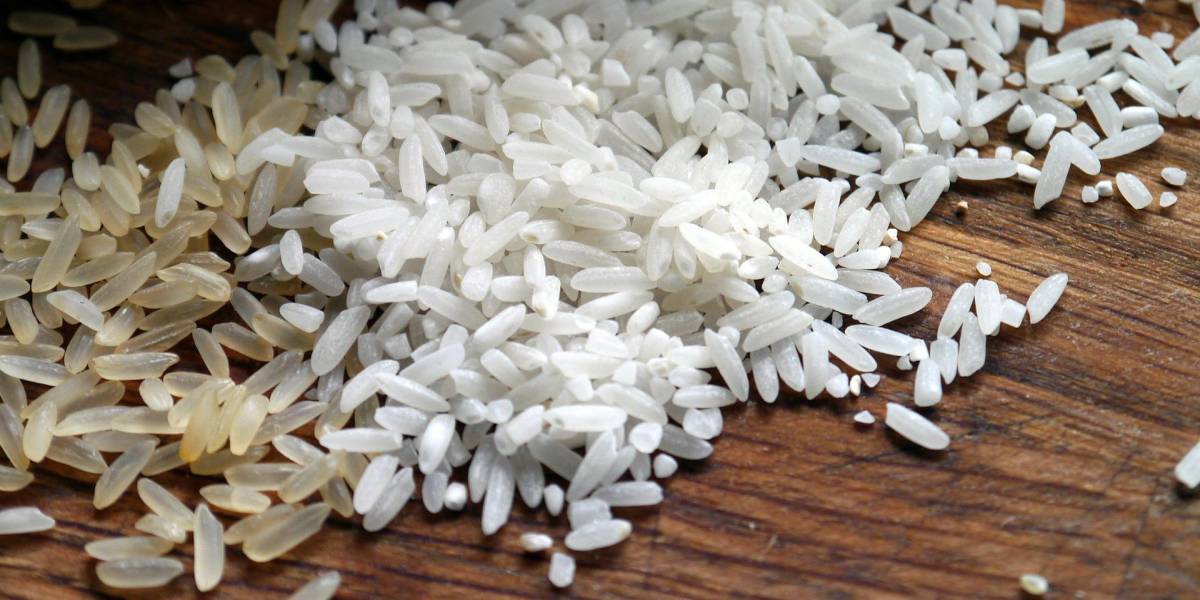 Proponen modificar genéticamente el arroz para adaptarlo a cambio climático
