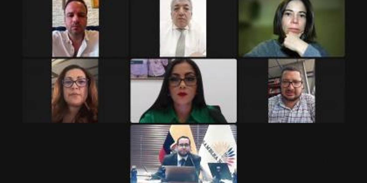 Asamblea: el CAL conoció solicitud de juicio político contra la exministra de Energía, Andrea Arrobo