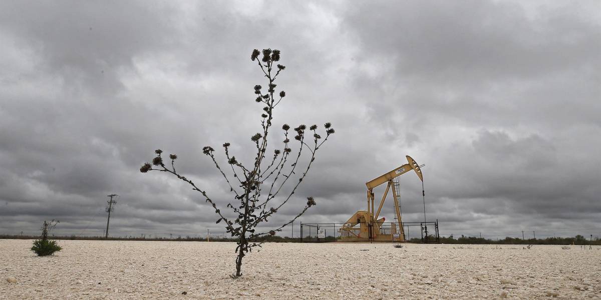 El petróleo de Texas se ubicó en 93,06 dólares el barril