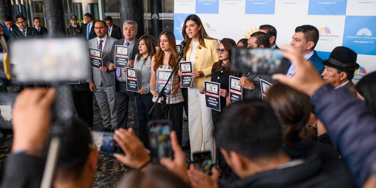 Asambleístas de ADN solicitarán licencia para hacer campaña en territorio para la consulta popular