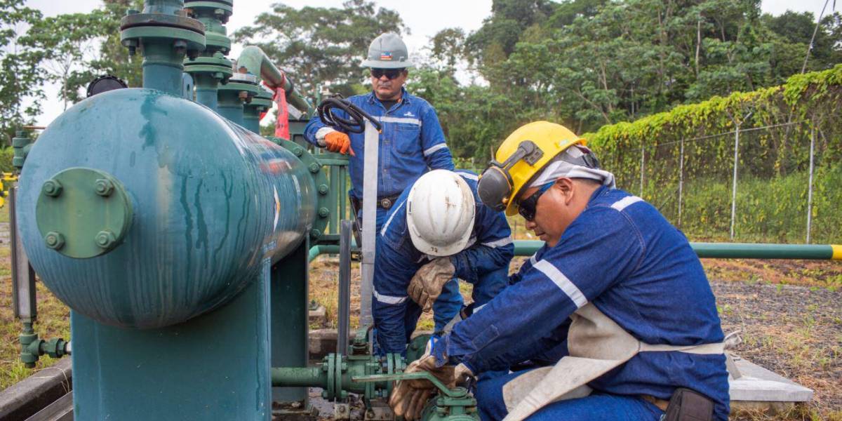 Cinco nuevos mecheros fueron desmantelados en la Amazonía y ya suman 165