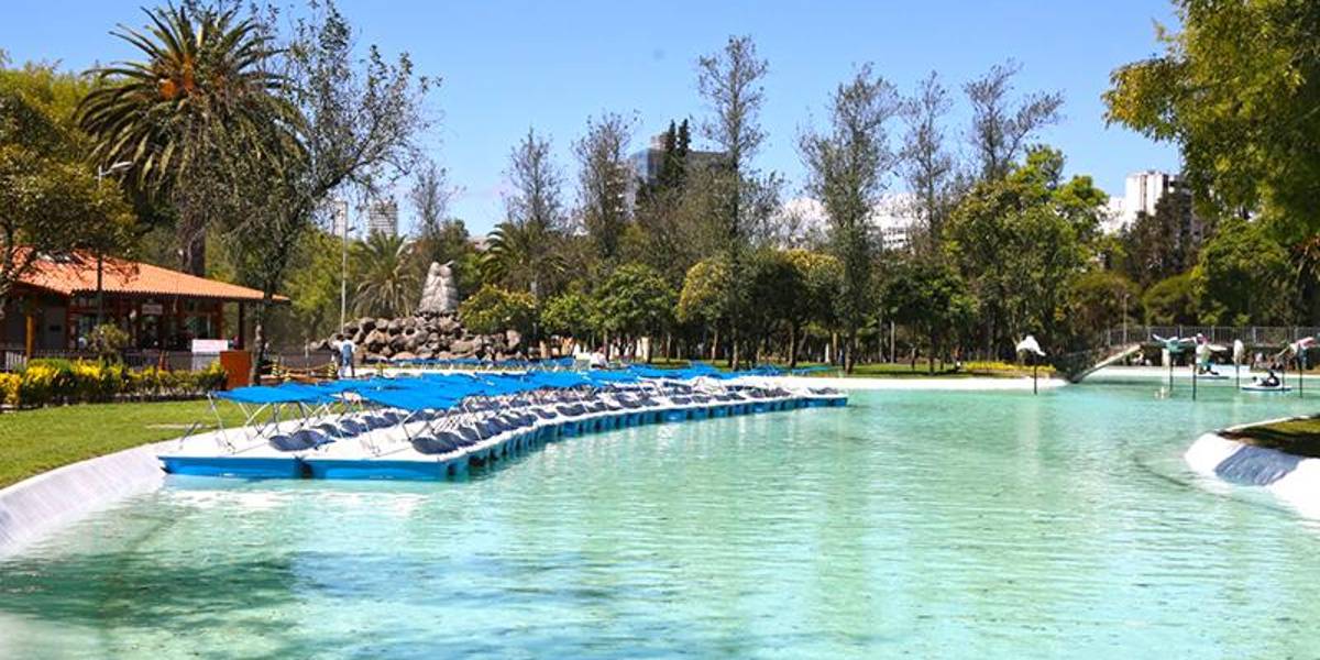 ¿Por qué está transparente el agua de la laguna del parque La Carolina en Quito?