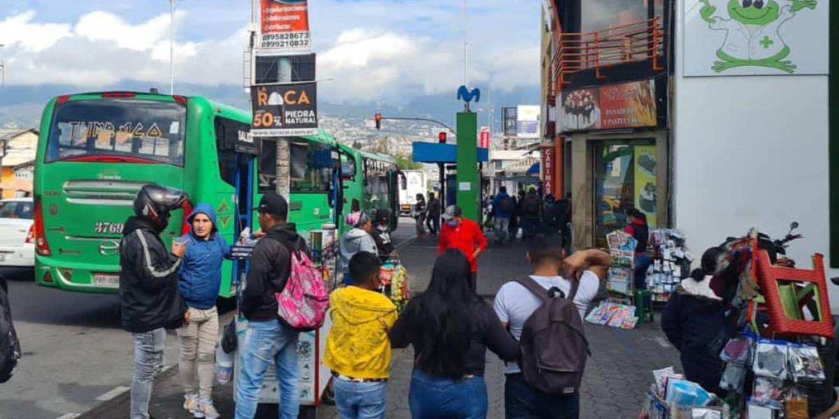 Quito: robos y asaltos en las unidades de transporte, ¿en qué rutas opera la delincuencia?