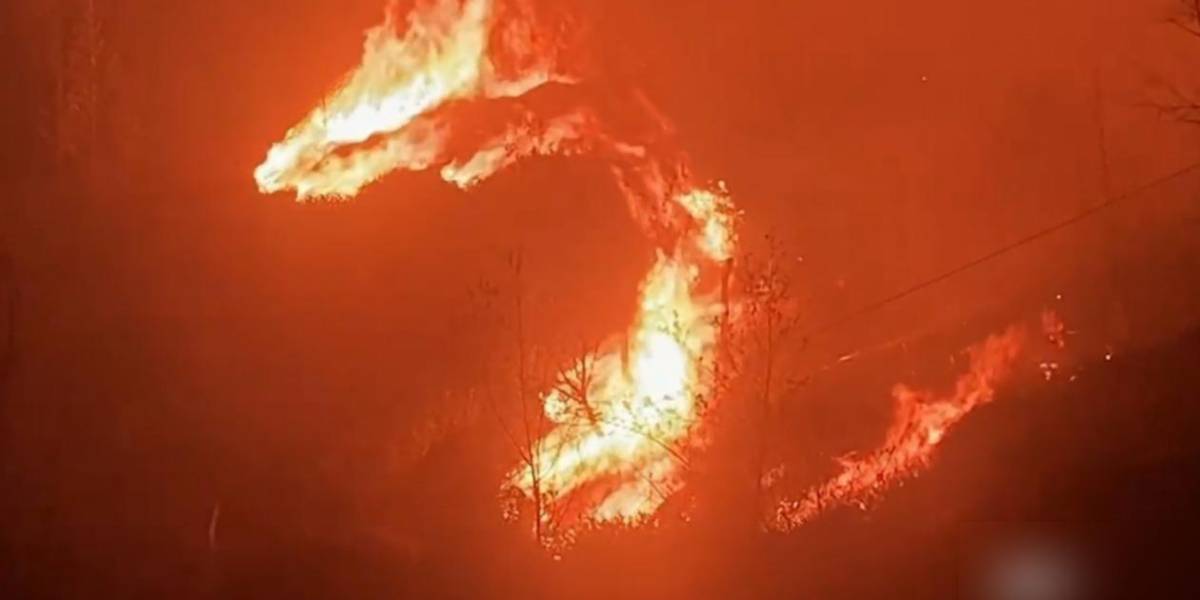 Incendio de Quilanga: Más de 4 600 hectáreas han sido destruidas por el fuego