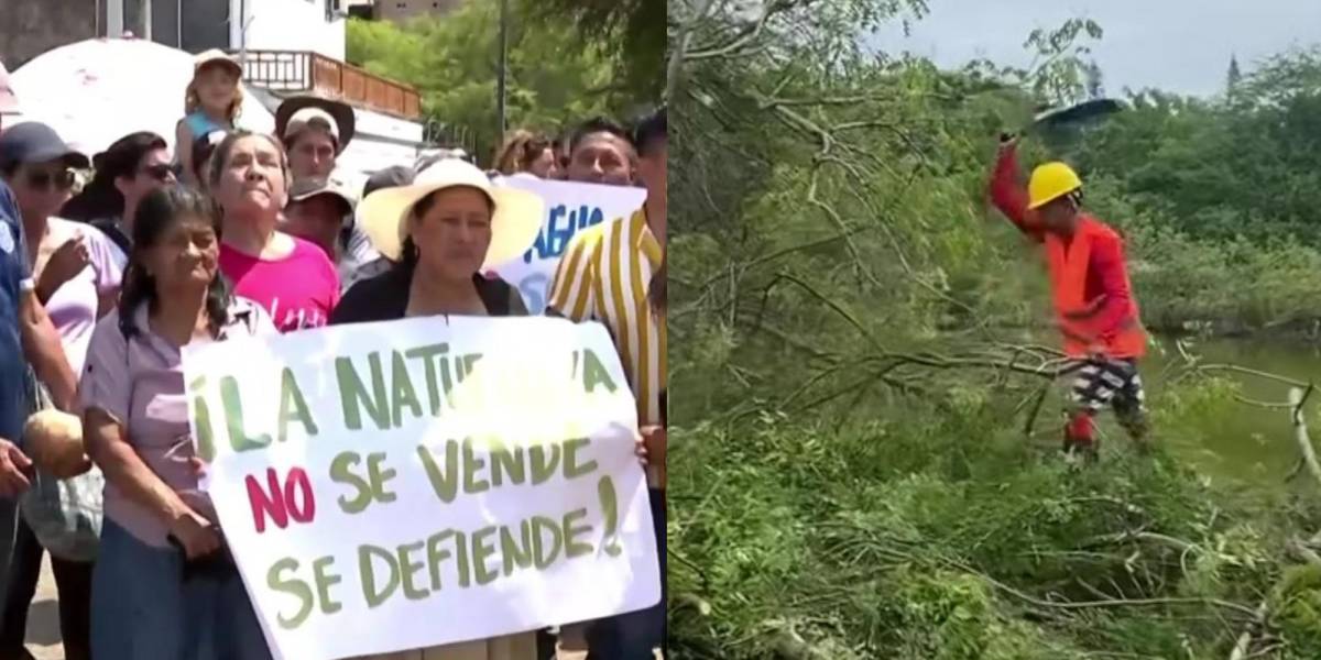 Asambleístas piden información y comparecencia de Sade Fritschi, ministra de Ambiente, sobre tala de manglares en Olón, Santa Elena