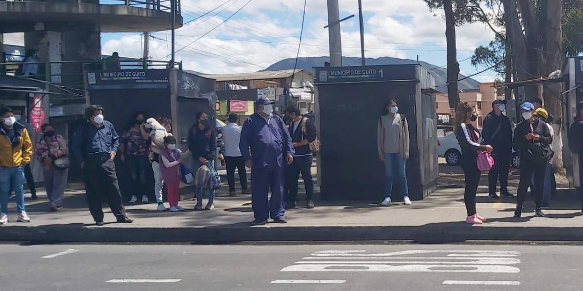 Transporte público de pasajeros paraliza actividad en Quito