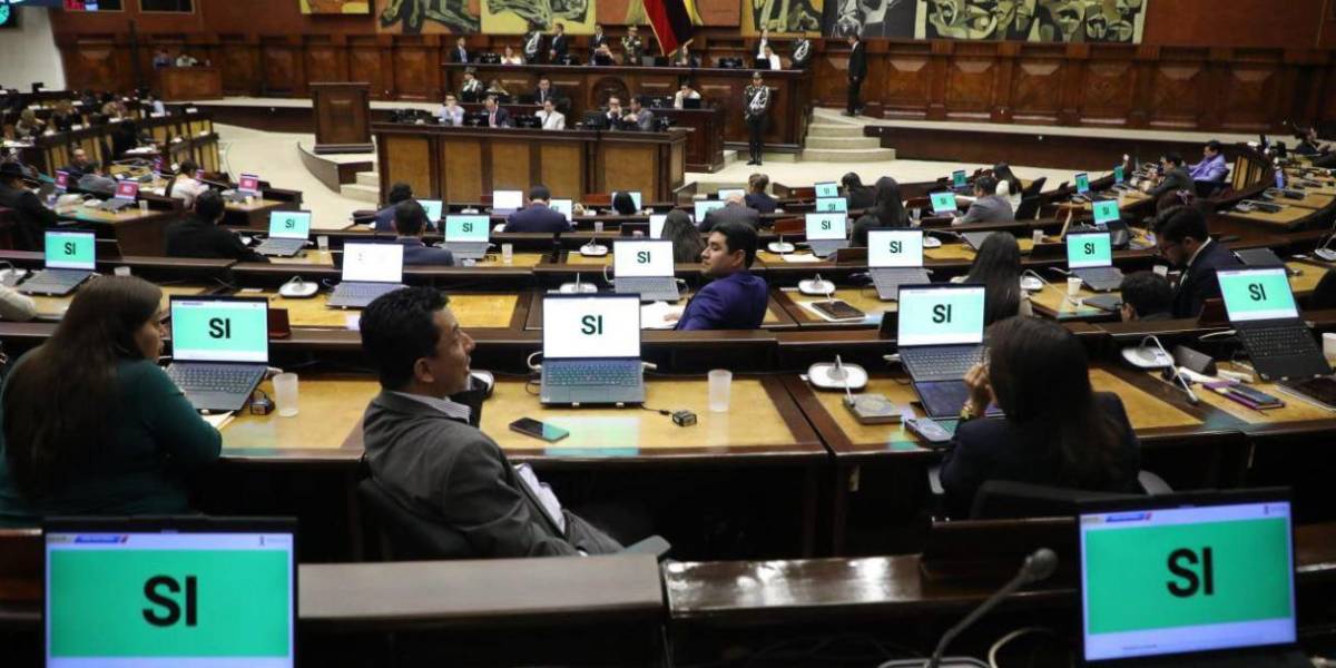 ADN quiere que autoridades de cinco provincias informen cómo contienen el paro nacional