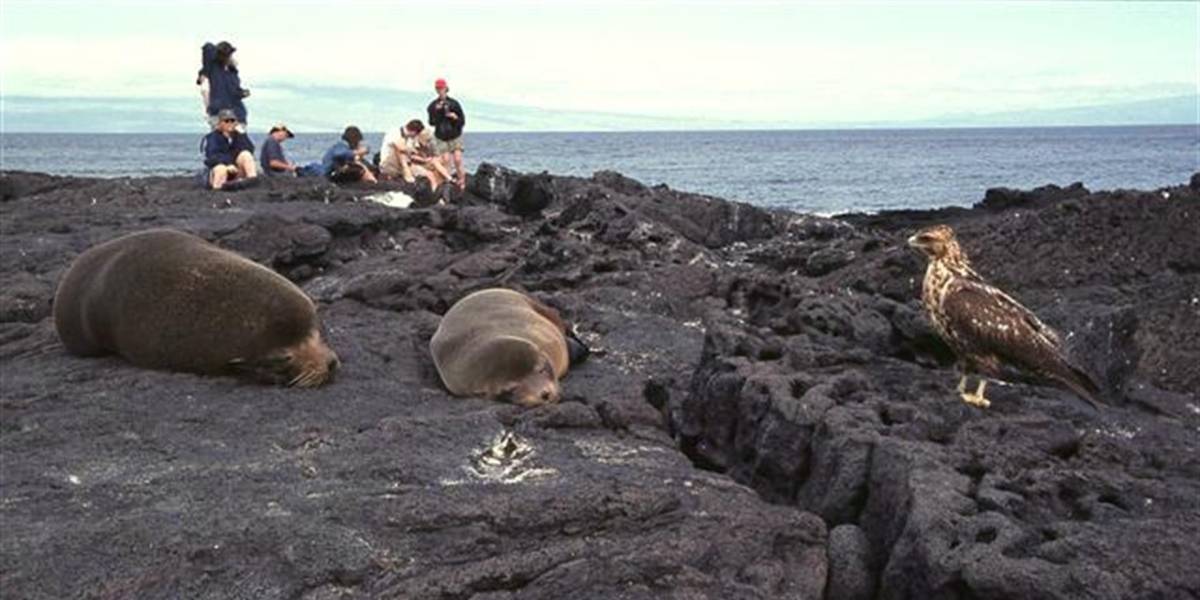 Galápagos recibió en la primera mitad de 2022 casi tantos turistas como en todo 2021