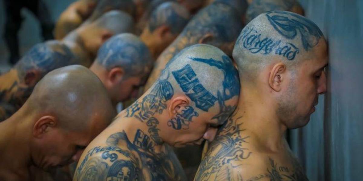 Qué consecuencias tiene en América Latina la llegada de pandilleros que huyen de El Salvador por la guerra de Bukele contra las maras