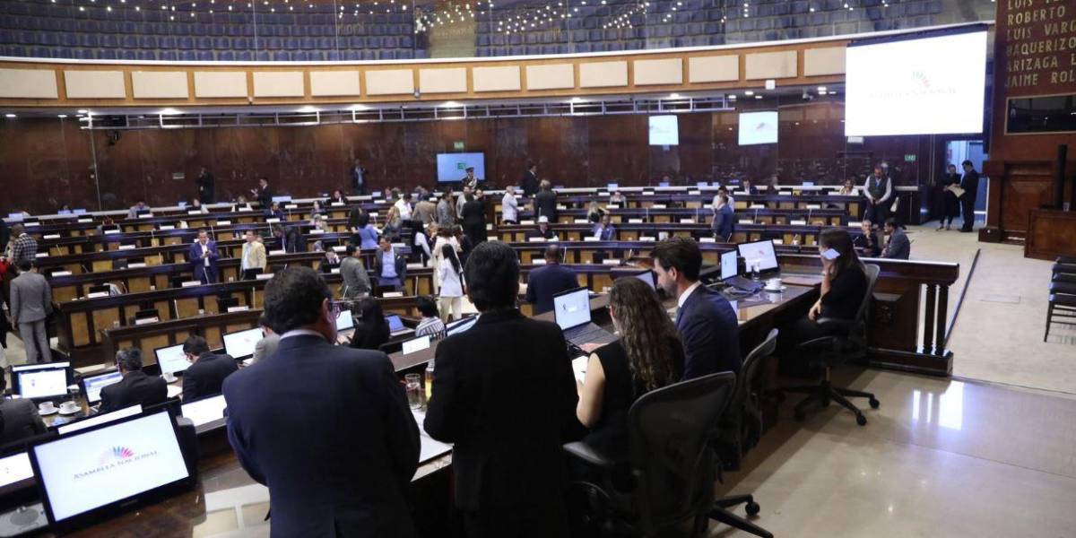 El Comité de Ética de la Asamblea Nacional se conformó entre fricciones de ADN y correísmo