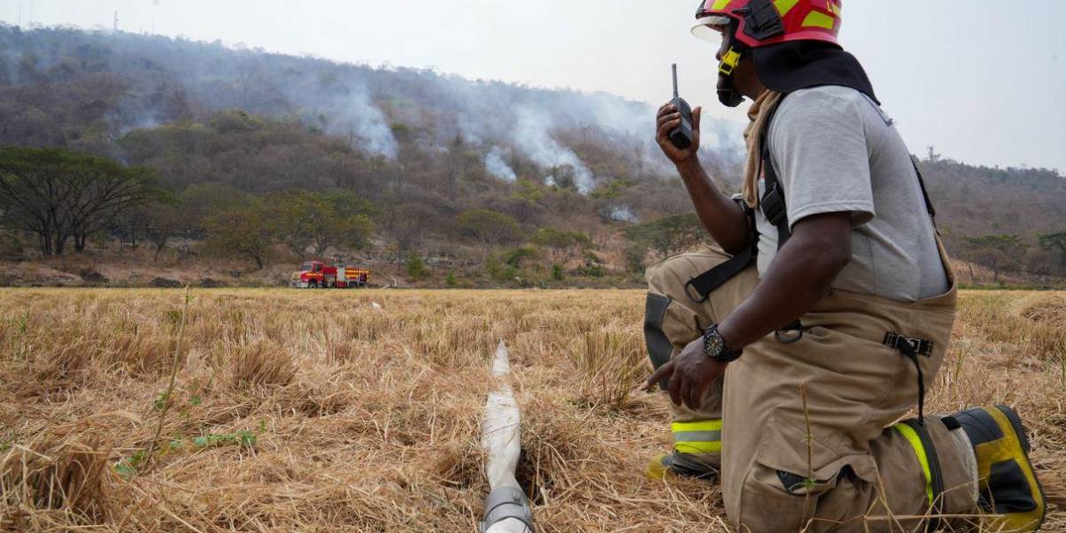 Samborondón: el incendio forestal en el cerro Santa Ana sigue activo este 4 de diciembre