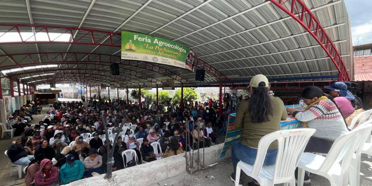 ¿Qué es la Unorcac? La organización indígena que amenazó con tomarse Ibarra