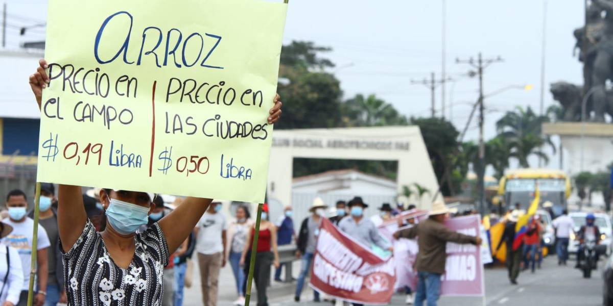 Agricultores proponen vender sus productos sin intermediarios