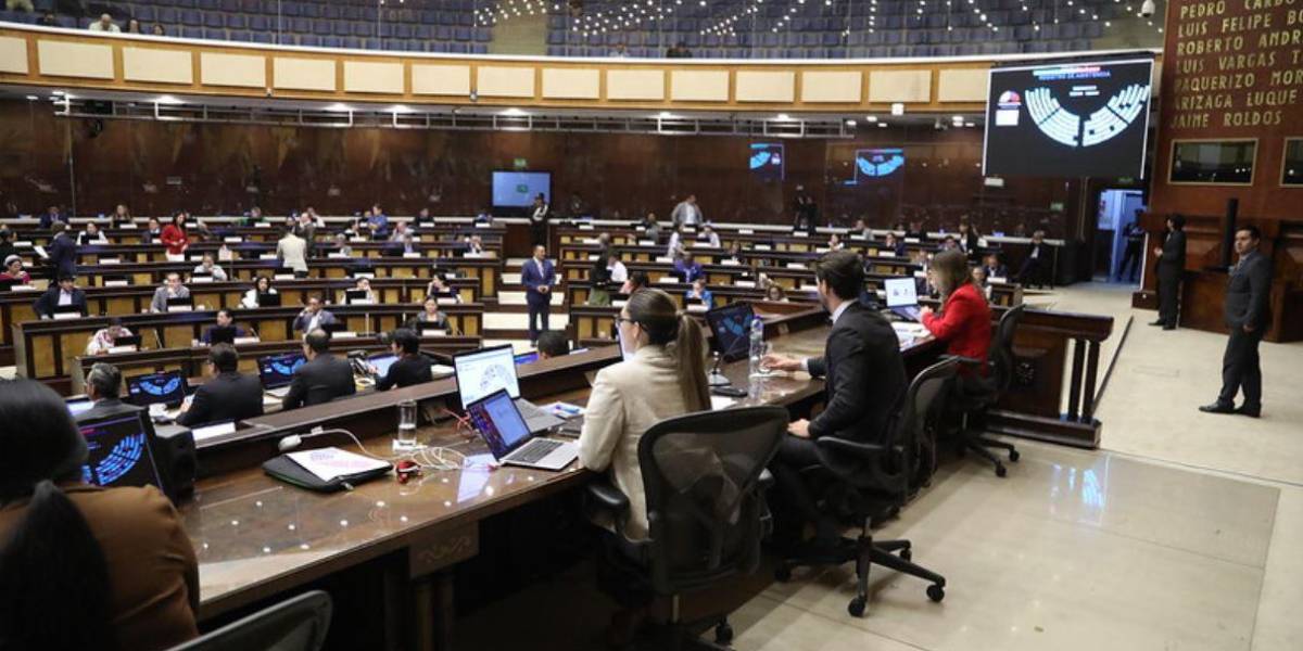 ADN y aliados de Pachakutik liderarán las comisiones de Trabajo y Educación