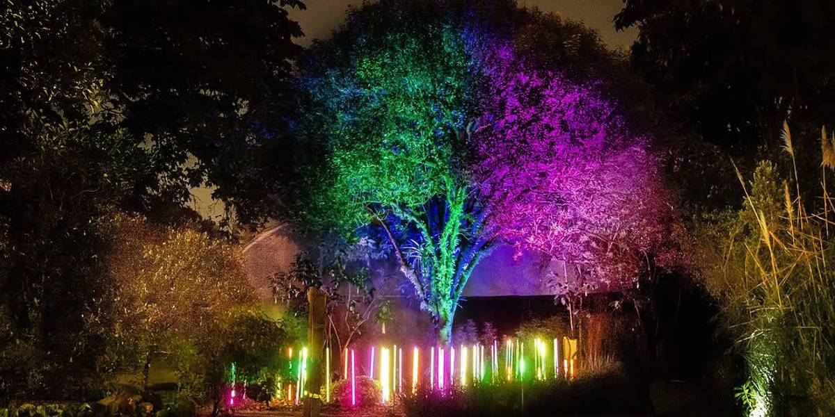 Vive una experiencia mágica en el Jardín Botánico de Quito por San Valentín