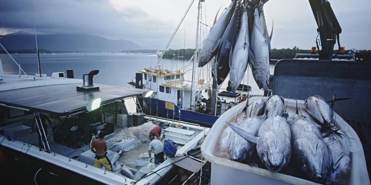 El sector atunero ya no tendrá subsidio de diésel