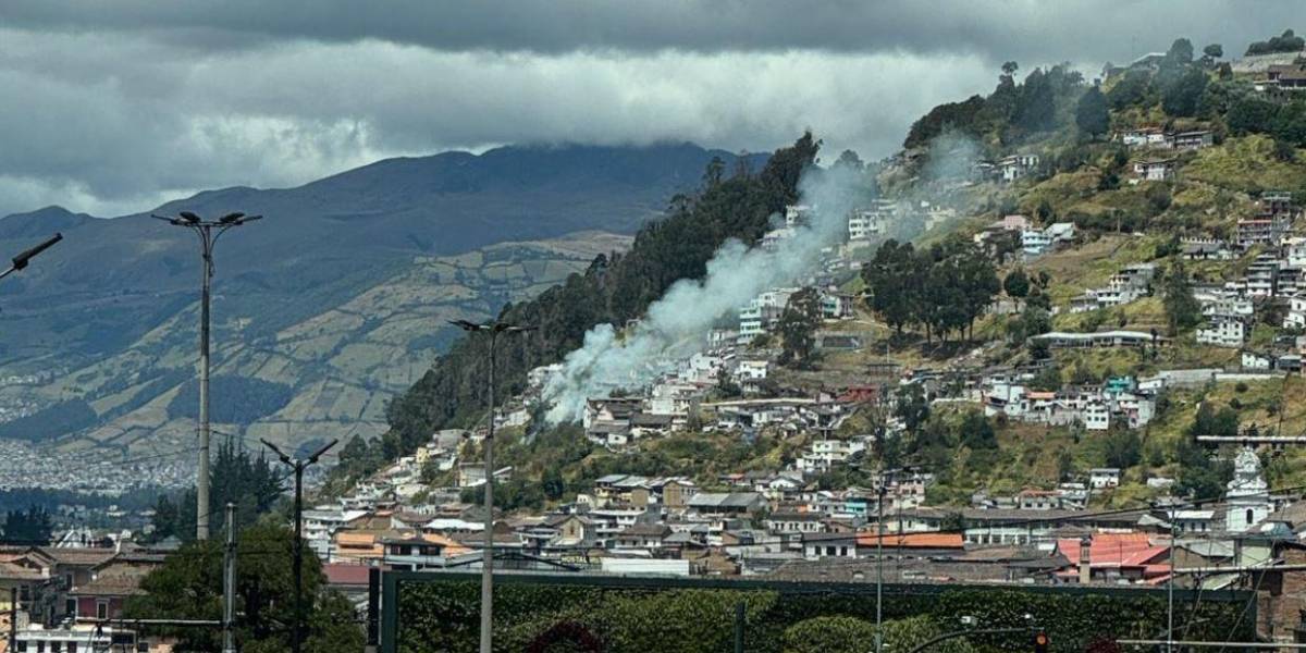 Quito | Incendio forestal levanta una columna de humo en El Panecillo