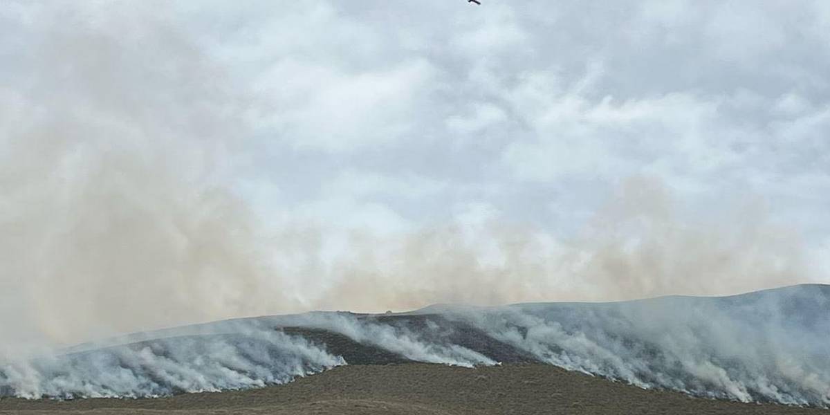 Un incendio forestal en el Parque Nacional Cotacachi afecta unas 1 000 hectáreas