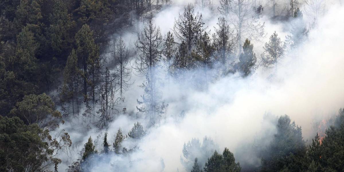 Ecuador gestiona cooperación para ayudar a Colombia contra los incendios
