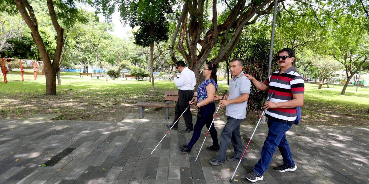 El Gobierno ofrece adecuar 45 parques de Ecuador para que sean accesibles a personas con discapacidad