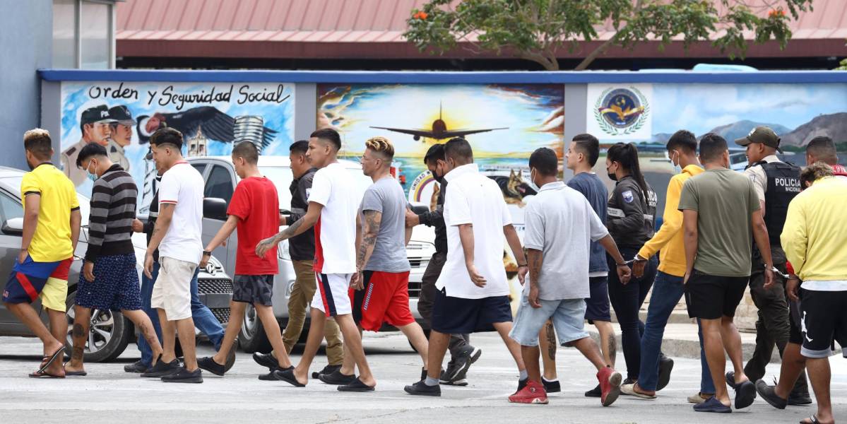 A los 19 presuntos chonekillers detenidos en Guayas se les atribuye 30 asesinatos