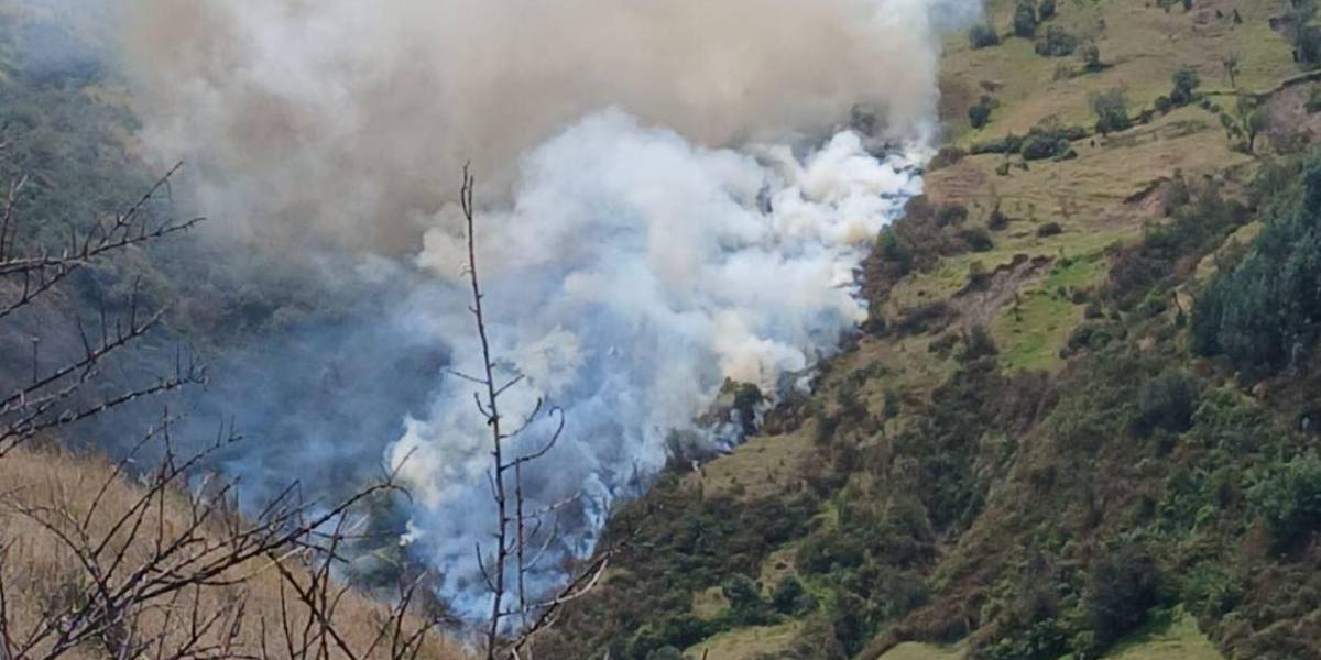 El volcán Ilaló registra un incendio forestal