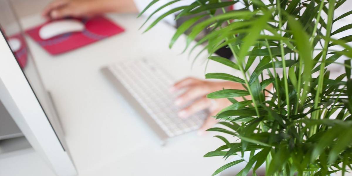 Este es el mejor país del mundo para el trabajo remoto, según Global Remote Work Index