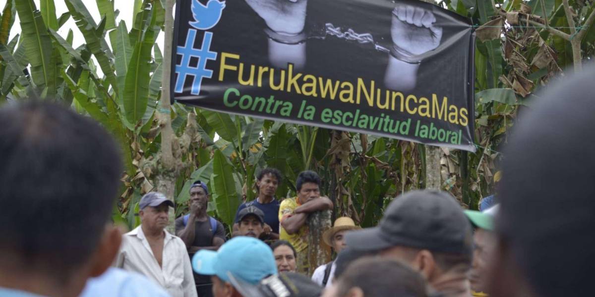 Constitucional en Ecuador analizará emblemático caso de esclavitud moderna