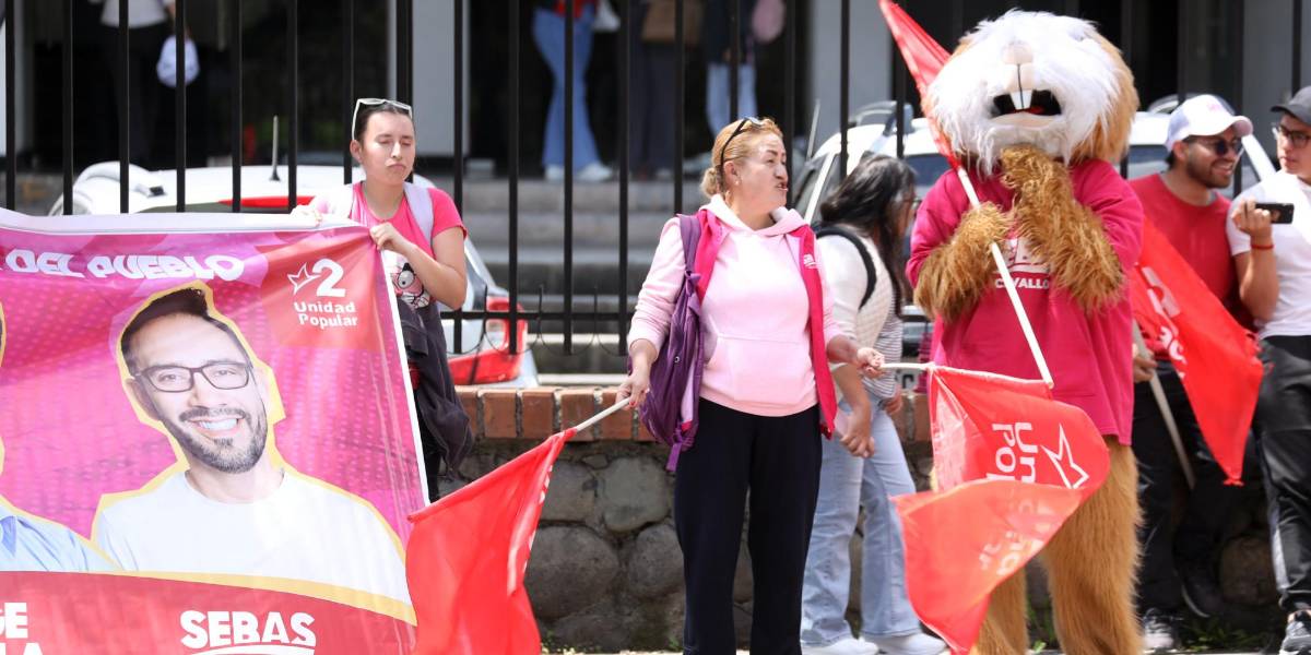 Consulta popular y referéndum 2025: aunque gane el Sí, los partidos seguirán recibiendo fondos públicos en campaña