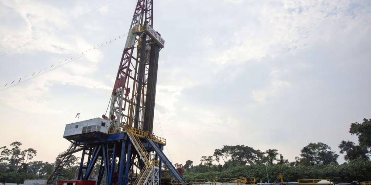 La adjudicación del campo Sacha es una decisión polémica que compromete los ingresos del Ecuador, dicen desde la CNA