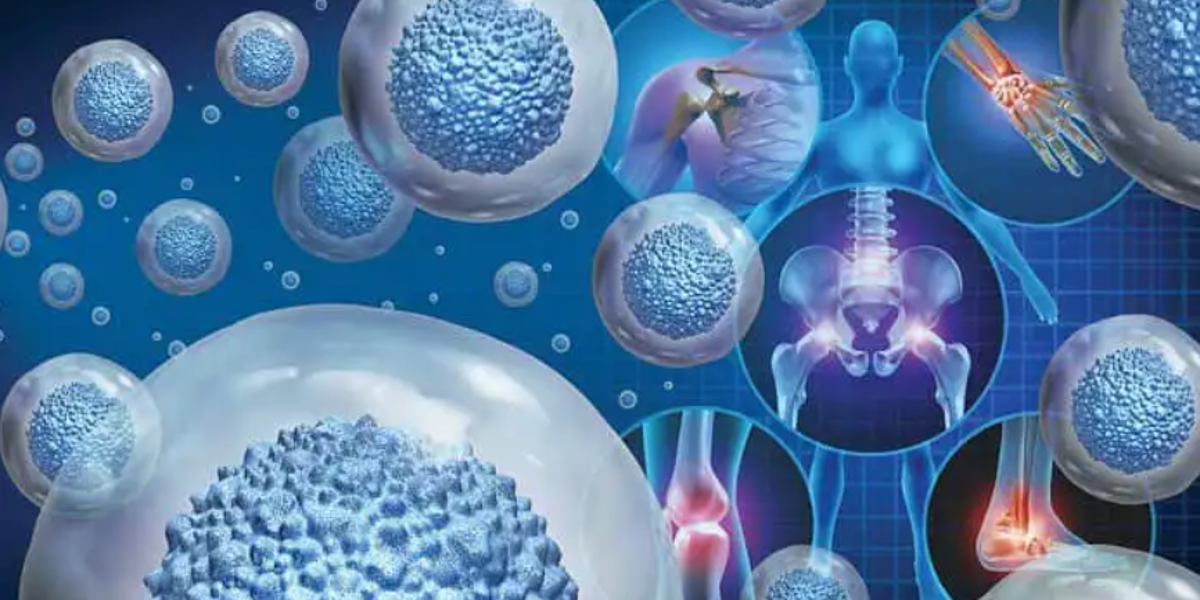 Las amígdalas y otras partes del cuerpo humano que tienen el sorprendente poder de regenerarse