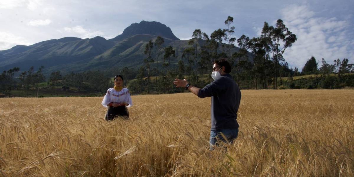 El 'teaser' de la película ecuatoriana 'Chuzalongo' fue proyectado en el festival de Cannes