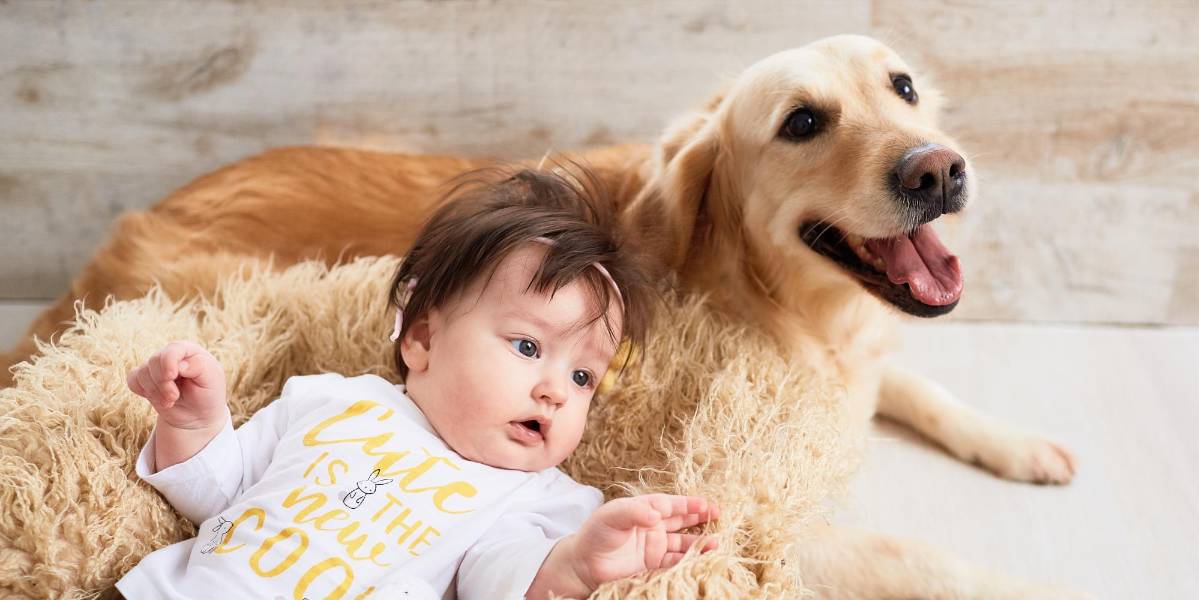 Crecer con perros puede reducir el riesgo de asma infantil, según estudio