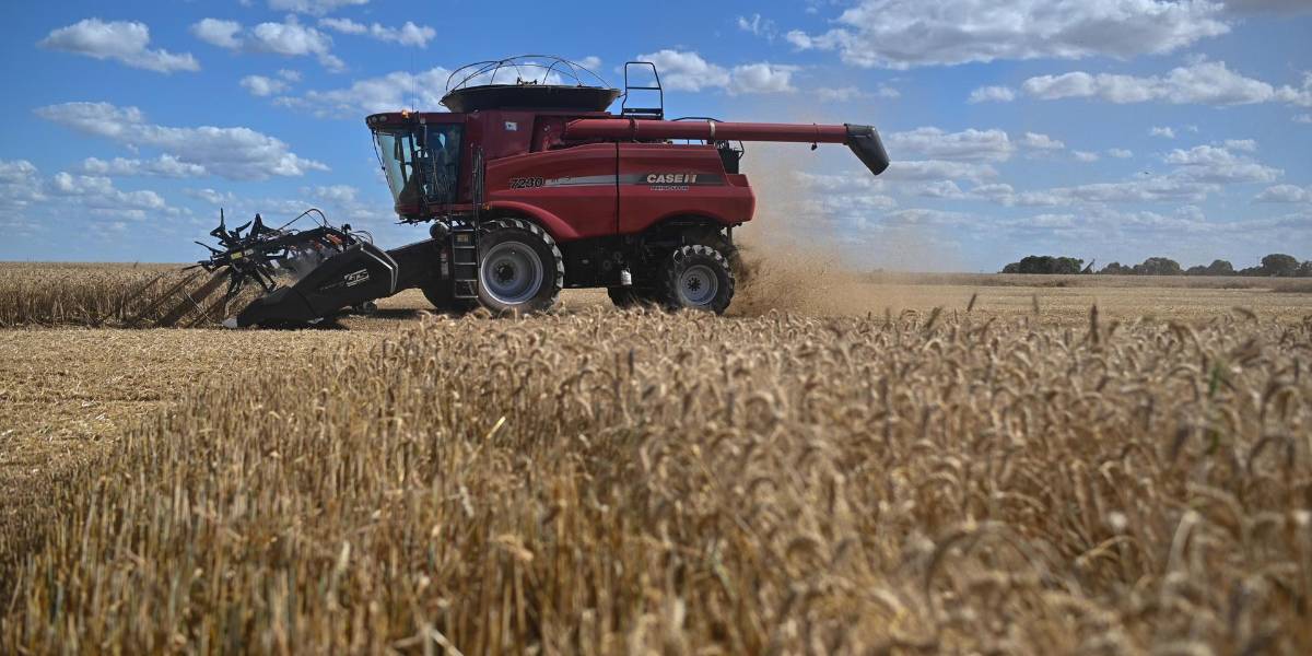 Brasil quiere liderar mercado global de bioinsumos con experiencia tropical y tecnología