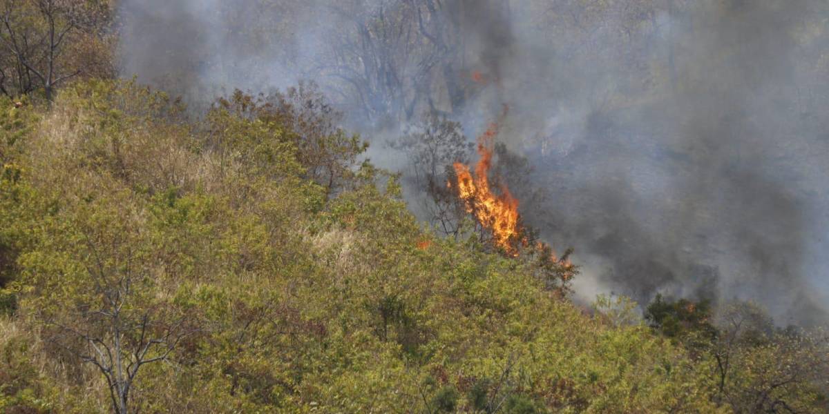 Registran gran incendio forestal en el Cerro Paraíso en Guayaquil