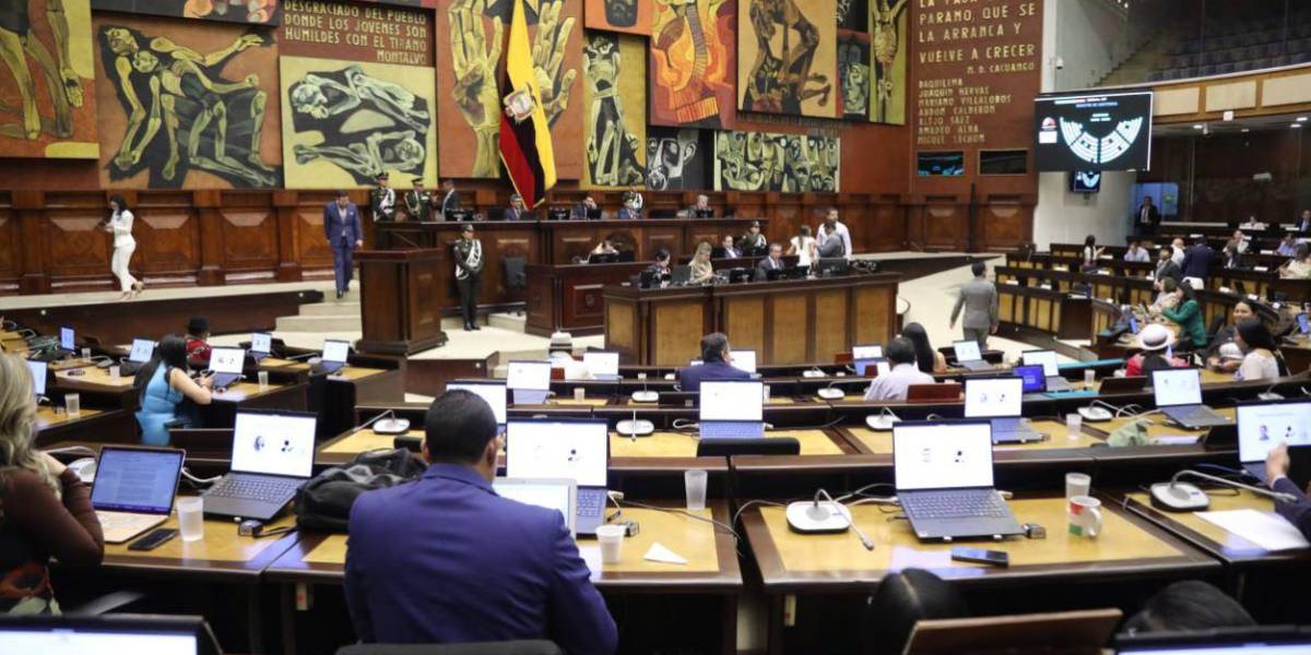 La Unicef hace un llamado a la nueva Asamblea para que dé prioridad al Copinna