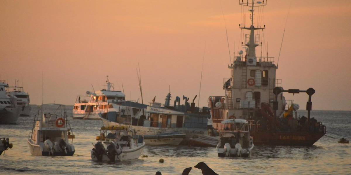 Detectan altas concentraciones de amonio y bacterias fecales en el agua de tres islas de Galápagos