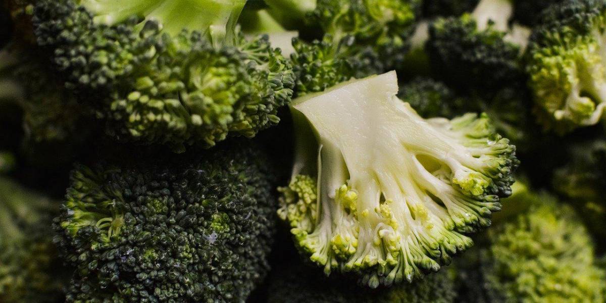 Descubre el poder de la alimentación: 9 alimentos que combaten el cáncer