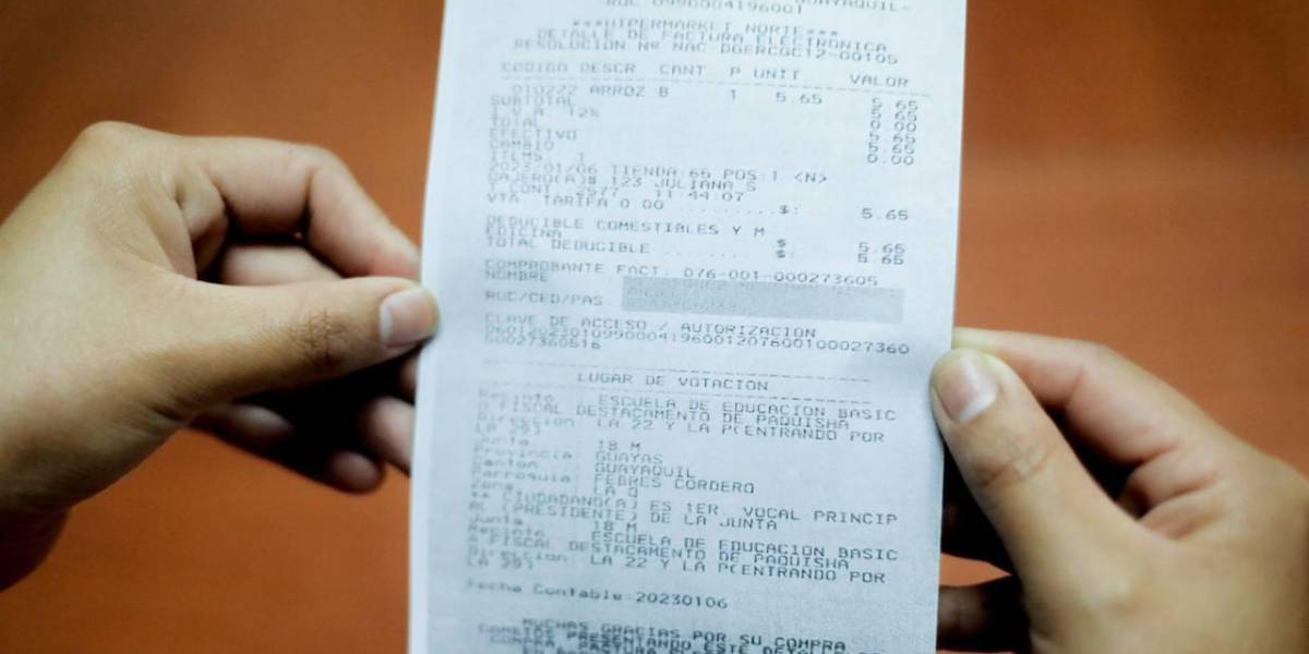 Elecciones Ecuador 2023: ¿cómo consultar su lugar de votación?