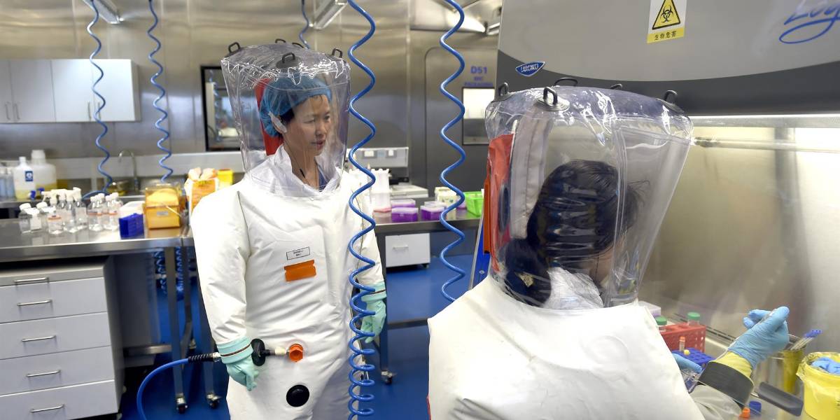 Científico recomienda estar vigilante ante el nuevo virus Langya, identificado en China