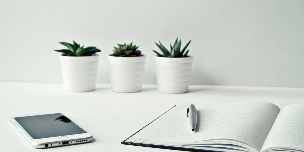 Evaluación al sector público: Cómo se aplicará la prueba piloto en Ecuador